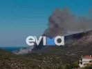 Φωτιά στην Εύβοια