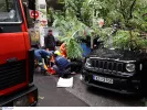 Κακοκαιρία Δέντρο ξεριζώθηκε και τραυμάτισε οδηγό 