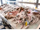 Φρέσκο ή κατεψυγμένο ψάρι; Τα «κόλπα» για να μην σας εξαπατήσουν στην ψαραγορά