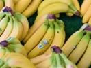 Μπανάνες