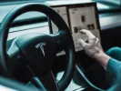 Αυτοκινητοβιομηχανία Tesla