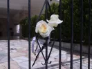 Ηλιούπολη: Παρέμβαση του Αρείου Πάγου για τη διαρροή βίντεο και σημειωμάτων των 17χρονων