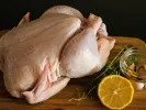 Κοτόπουλα - Chicken 