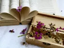 Τι σημαίνει η λέξη «ζεμπερέκι»