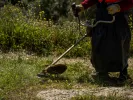 οικόπεδο