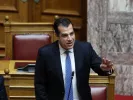 Πλεύρης