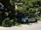 Ισχυροί άνεμοι στην Αττική: Δέντρο έπεσε πάνω σε διερχόμενο αμάξι και εγκλώβισε την οδηγό