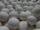 αυγά