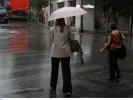 βροχές
