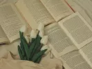 Τι σημαίνει η λέξη «ανεχόρταγος»