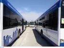 ΟΑΣΘ - Θέσεις εργασίας χωρίς πτυχίο: Προκήρυξη για 171 προσλήψεις οδηγών 