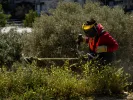 Ακαθάριστα οικόπεδα: Πότε μειώνεται κατά 50% το πρόστιμο