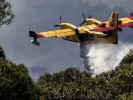 Φωτιά στα Βίλια: Ισχυρές δυνάμεις της Πυροσβεστικής στη μάχη με τις φλόγες
