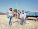 Εργαζόμενοι συνταξιούχοι: Τι ισχύει αν συνεχίσετε να εργάζεστε 