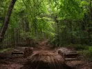 Έκτακτα μέτρα στη Χαλκιδική: Απαγόρευση κυκλοφορίας σε δάση υπό τον φόβο μεγάλων πυρκαγιών