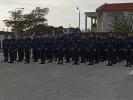 ελας