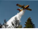Φωτιά τώρα στα Οινόφυτα: Μεγάλη κινητοποίηση της Πυροσβεστικής