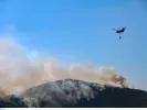 Φωτιά τώρα στα Βασιλικά Θεσσαλονίκης: Κοντά σε σπίτια οι φλόγες – Ήχησε το 112
