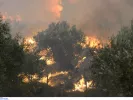 Πολύ υψηλός κίνδυνος πυρκαγιάς αύριο σε δύο Περιφέρειες (χάρτης)