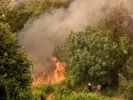 Πυρκαγιά στα Κανάλια Καρδίτσας