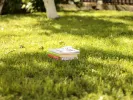 Τι σημαίνει η λέξη «ερίτιμος»