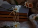 Τι σημαίνει η λέξη «αδιαφόρετος»