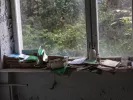 Τι σημαίνει η λέξη «συνάζω»