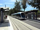 τραμ