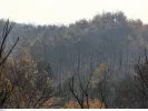Κυνήγι: Δημοσιεύθηκαν οι νέες άδειες για το 2026-2027 - Αναλυτικά όλες οι χρεώσεις