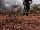 Σοκ στη Μαγούλα: Έκλεψαν τροχούς από αυτοκίνητα πυροσβεστών την ώρα που επιχειρούσαν στα μέτωπα
