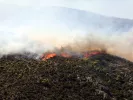 Φωτιά στη Βοιωτία: Στον εισαγγελέα οι δύο συλληφθέντες - Αναζητείται ιδιοκτήτης εταιρείας ανεμογεννητριών