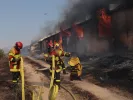 Φωτιά στον Κουβαρά Αττικής: Κάηκε κτηνοτροφική μονάδα