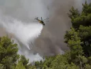 Πήλιο: Φωτιά κοντά σε οικισμό - Ισχυρές δυνάμεις στο σημείο