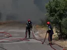 Φωτιά τώρα στη Μεσσηνία - Επιχειρούν 4 αεροσκάφη