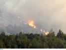 Φωτιά τώρα στον Κουβαρά Αττικής: Ήχησε το 112 για εκκένωση