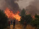 Φωτιά στη Δυτική Αττική: Ενεργές διάσπαρτες εστίες - «Στάχτη» 130.000 στρέμματα