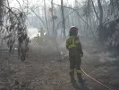 Φωτιά τώρα στην Πεντέλη - Συναγερμός στην Πυροσβεστική