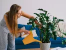 Ποτίζεις τα φυτά σου τη λάθος ώρα; Το συχνό λάθος που τα ταλαιπωρεί το καλοκαίρι