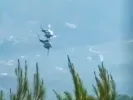 Ψάθα: Χειροπέδες σε αδελφό αντιδημάρχου - Παραβίασε τον αποκλεισμό και έπεσε στα συντρίμμια του ελικοπτέρου