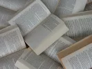 Τι σημαίνει η λέξη «φιλοτομαρισμός»