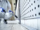Έντομα στο σπίτι: Τα 7 πράγματα που τα προσελκύουν