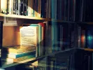 Τι σημαίνει η λέξη «φρενίτιδα»