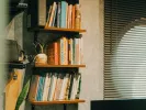 Τι σημαίνει η λέξη «περίφοβος»