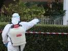 Ιός Δυτικού Νείλου: 58 νέα κρούσματα σε μία εβδομάδα – Συναγερμός στην Αττική