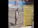 Άνω Λιόσια: Η διευθύντρια έκανε μήνυση σε γονείς - Συνελήφθη μητέρα 