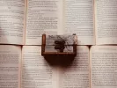 Τι σημαίνει η λέξη «μπουχός»