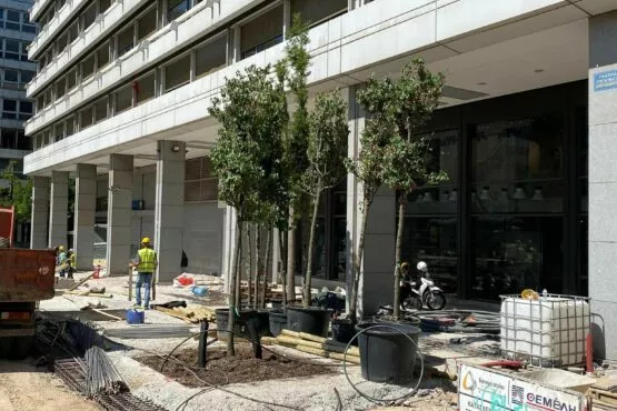 dentra_syntagma_lifo