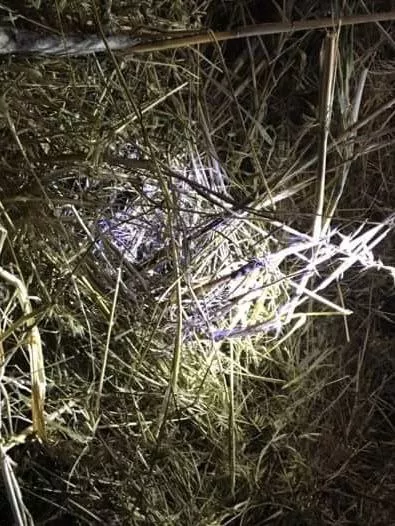 Ασφυκτικός ο θάνατος της Αναστάζια στην Κω: Σήμερα η νεκροψία