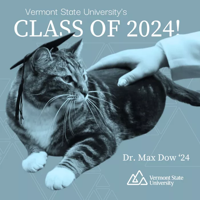 Max the Cat