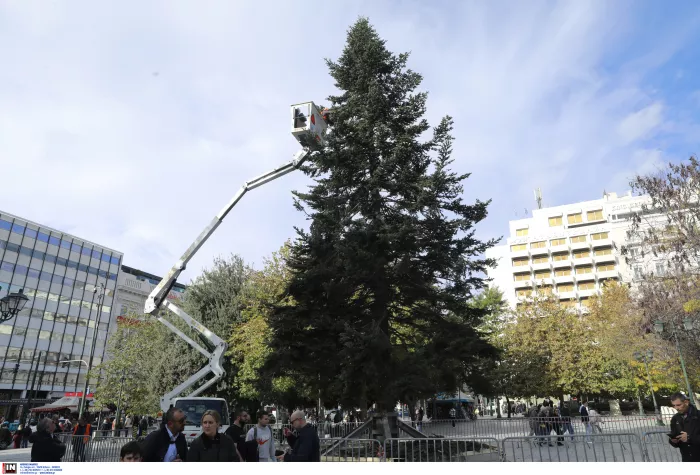 Στήθηκε στο Σύνταγμα χριστουγεννιάτικο δέντρο 20 μέτρων